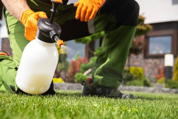 Best Mosquito Control Services  in Bluffton, SC