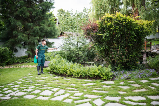 Best Wasp Removal Services  in Bluffton, SC