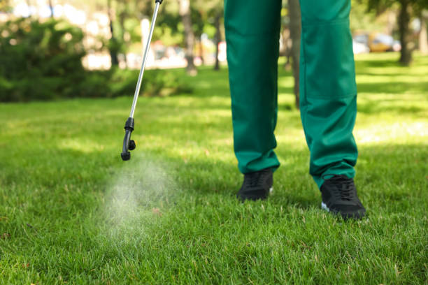 Best Pest Inspection Near Me  in Bluffton, SC